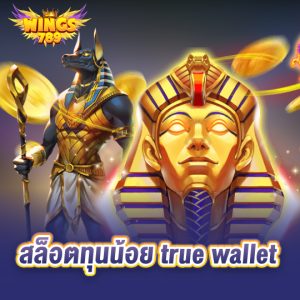 wings789 สล็อตทุนน้อยtrue wallet